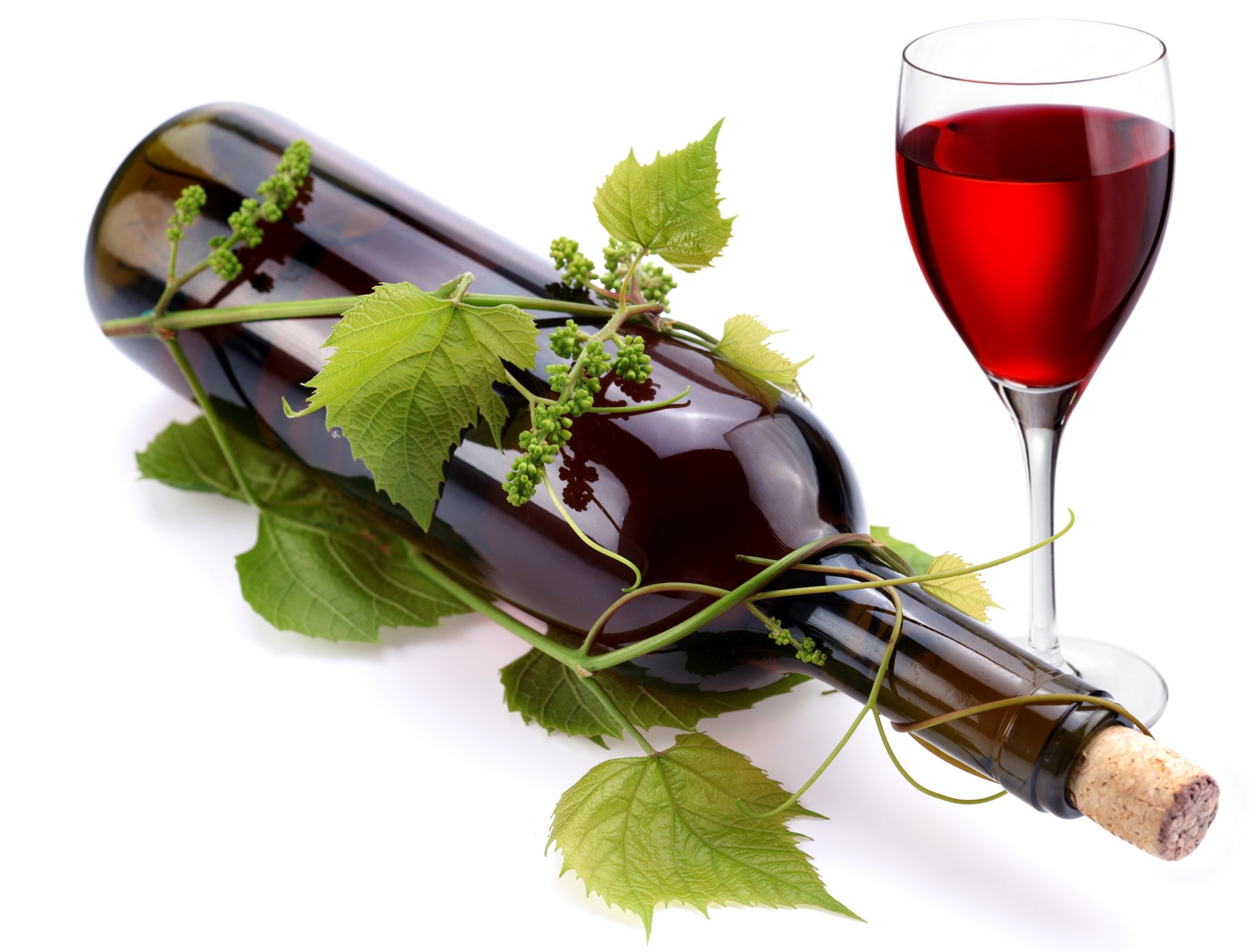 Red wine bottle with vine