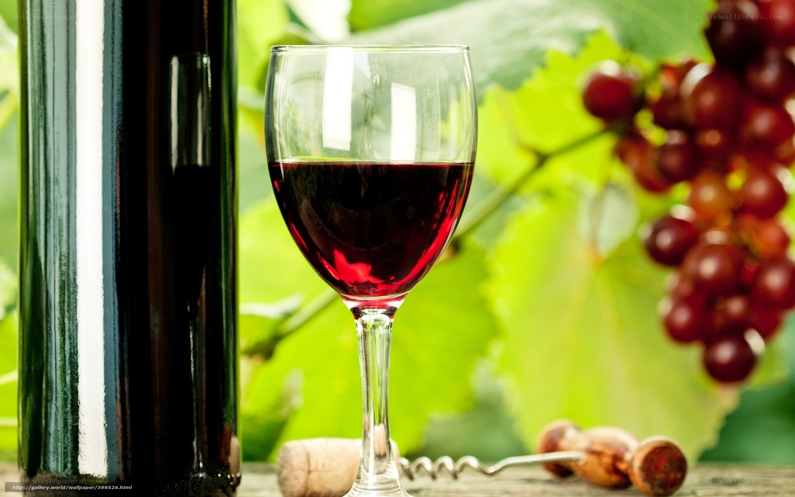 Red wine glass with grapes