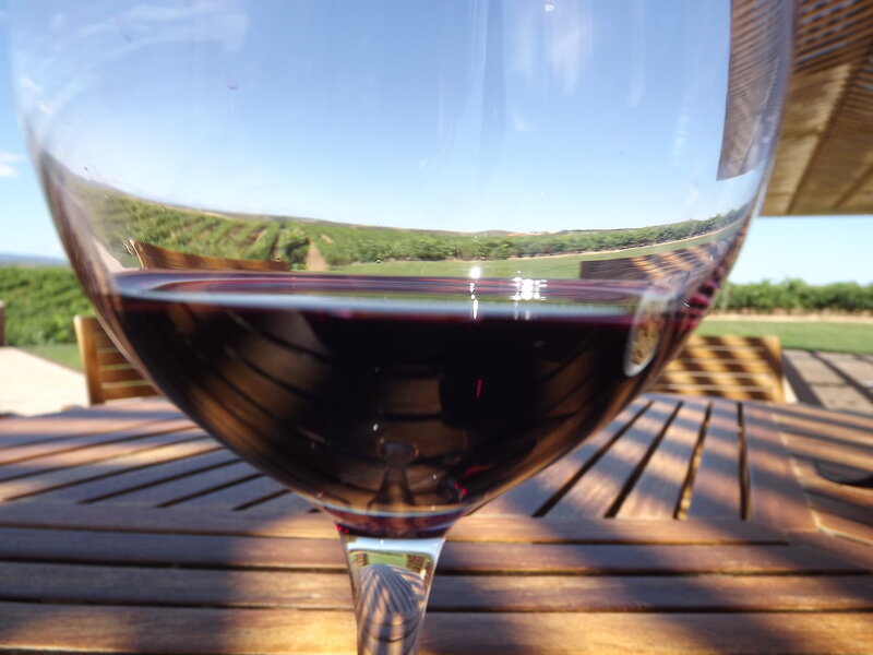 Red Wine in Glass — Brown