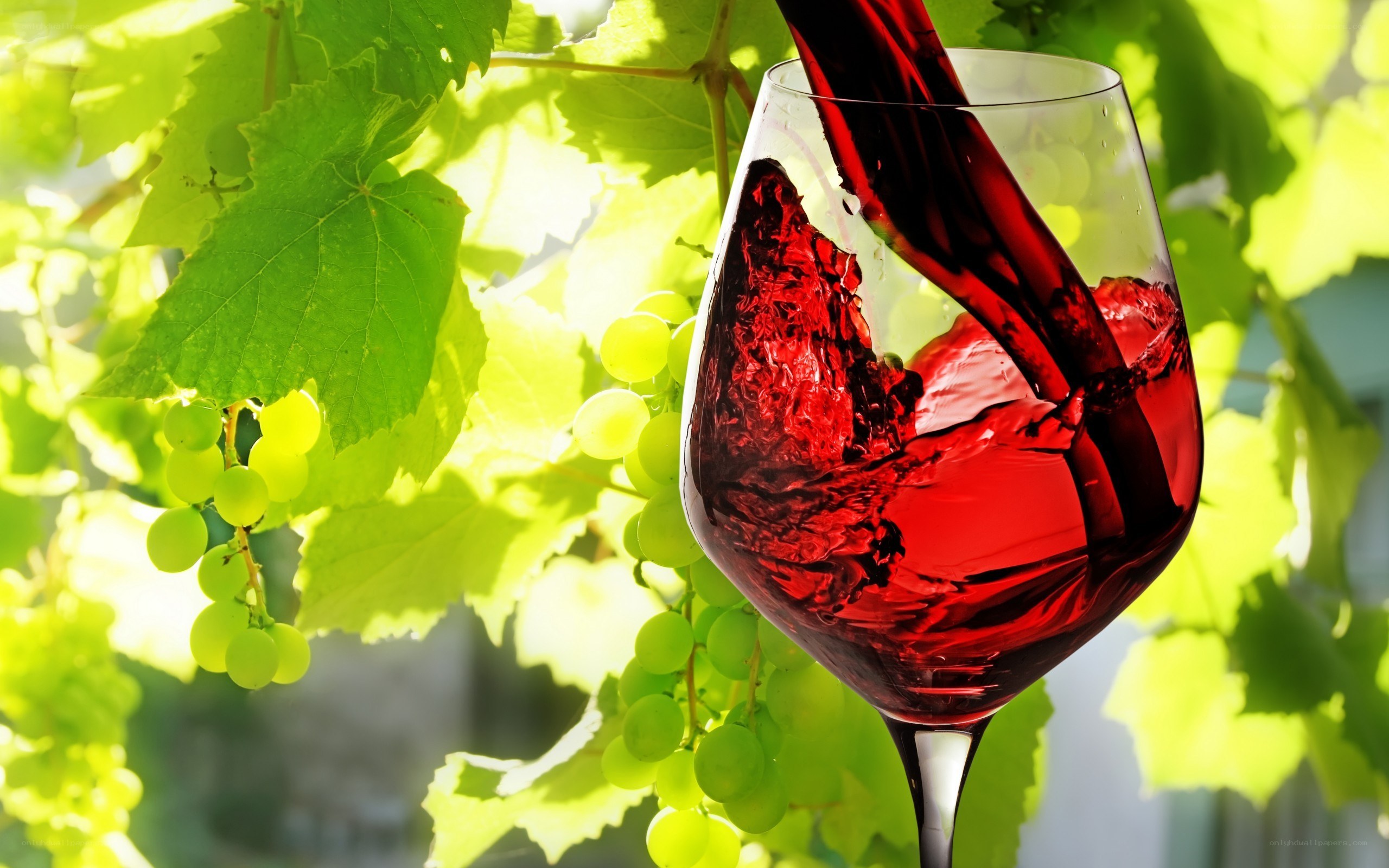 red wine poured in glass
