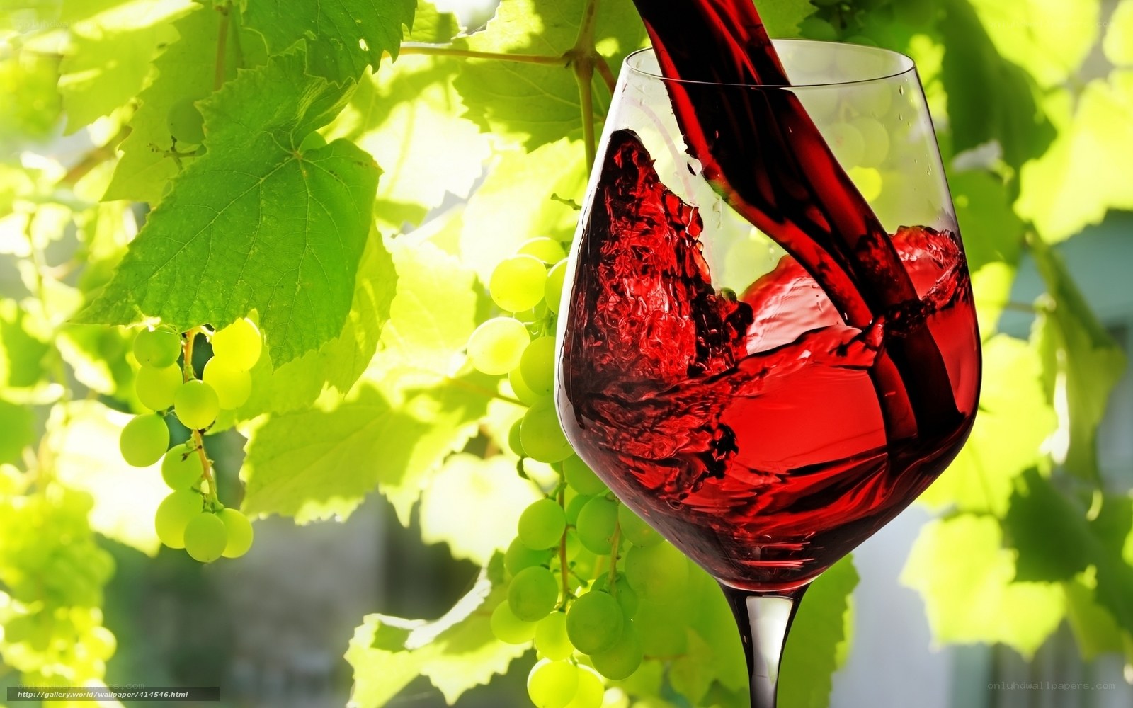 Red wine poured in glass