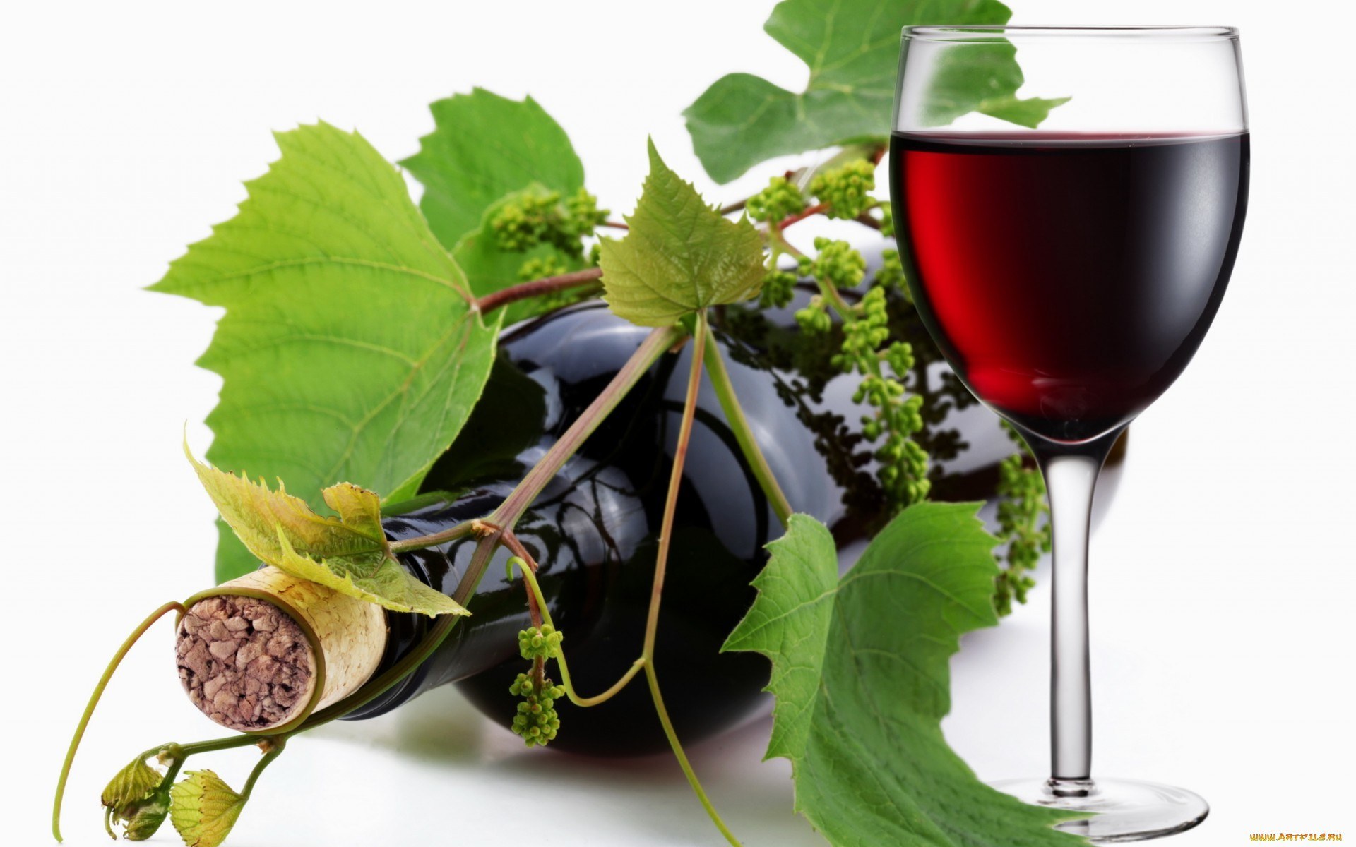 Red wine with grape leaves