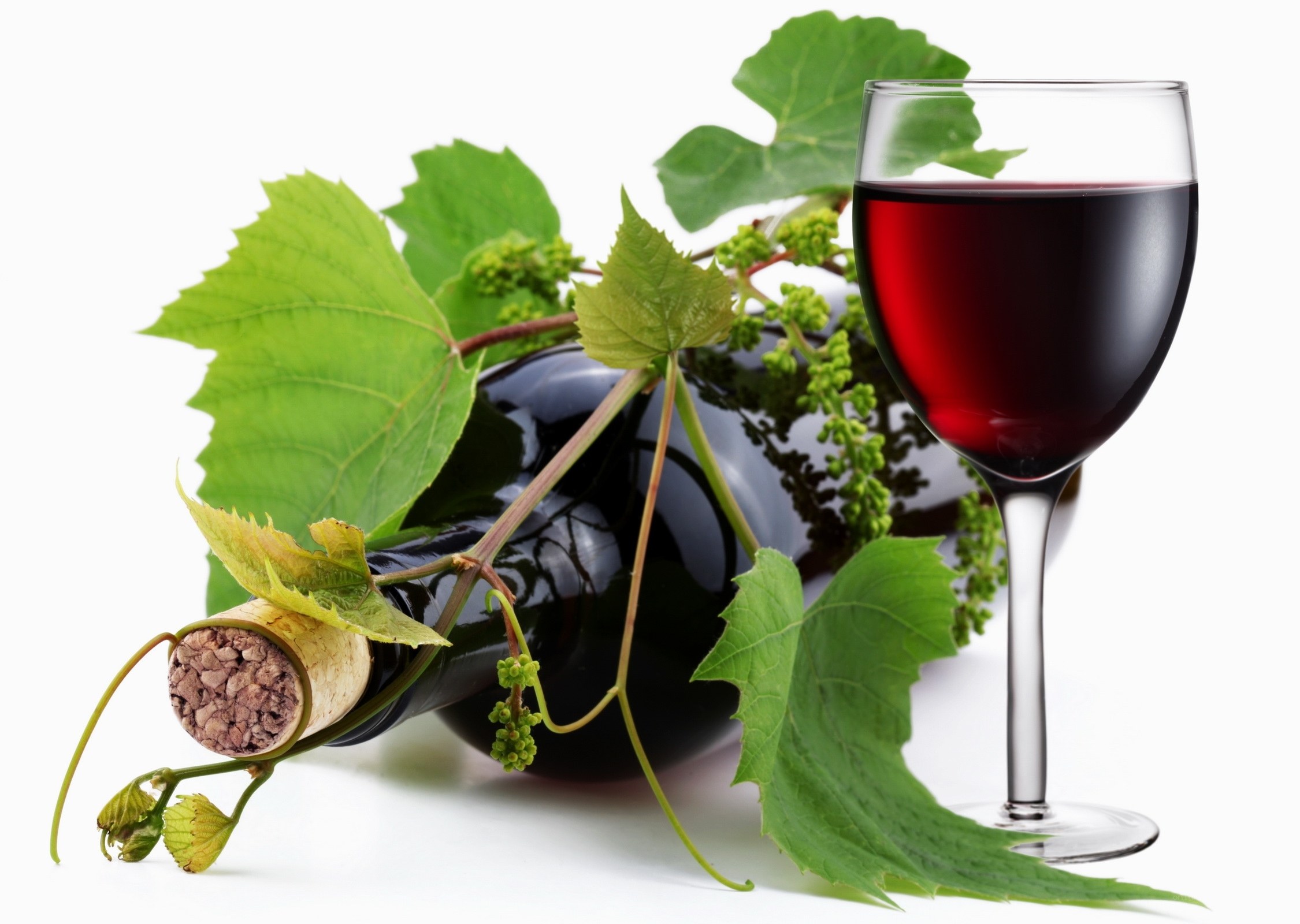 Red wine with grape leaves