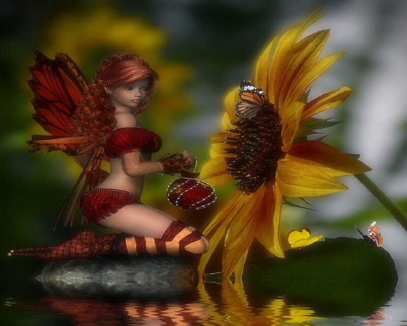 Red-winged Fairy