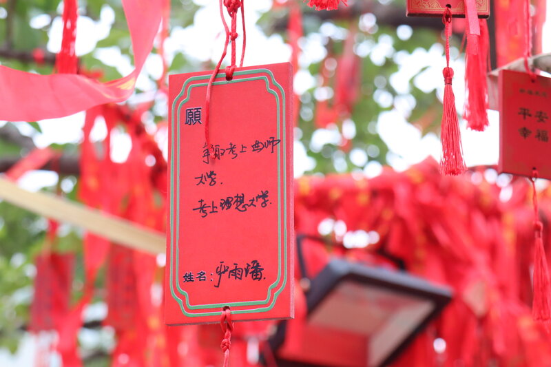 Red Wish Tags on Tree