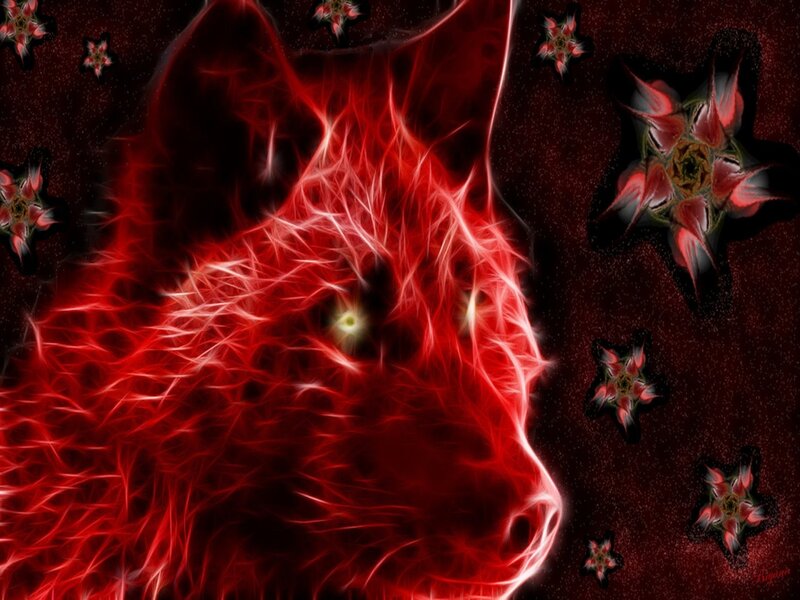 Red Wolf Head