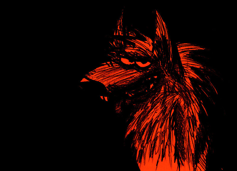 red wolf illustration