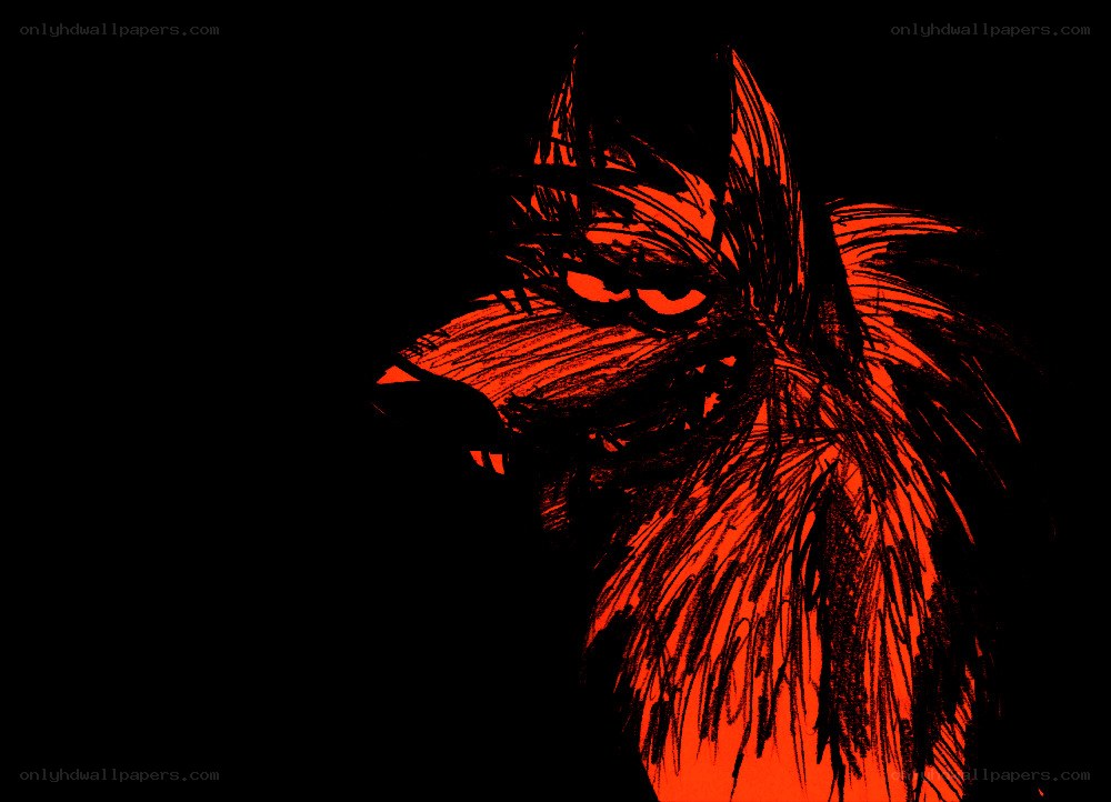 red wolf illustration
