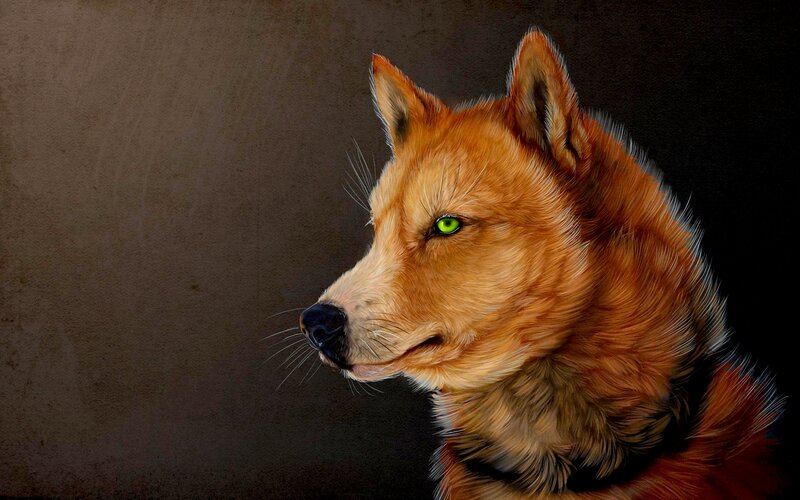 Red Wolf with Green Eyes