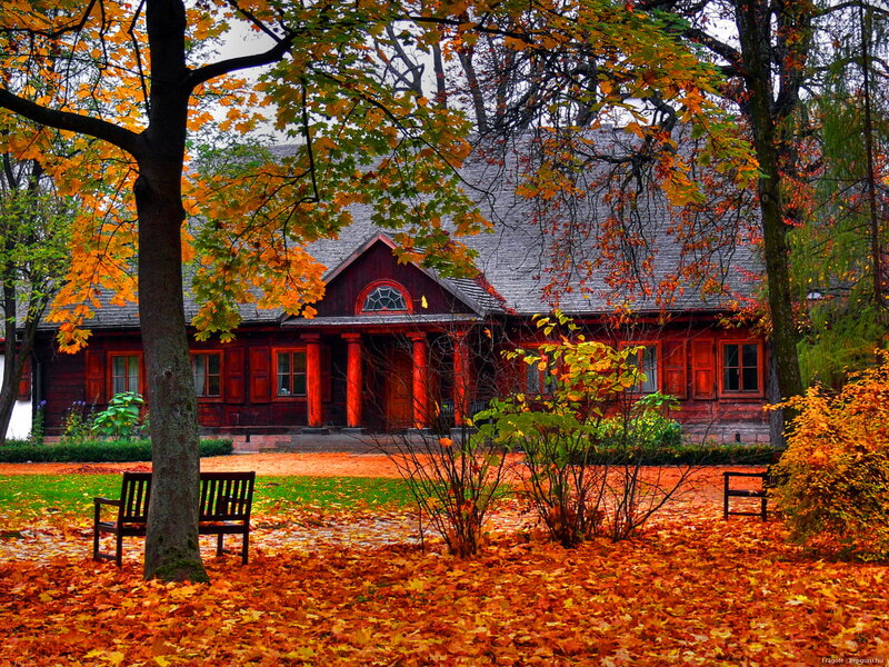 Red Wooden House — Orange