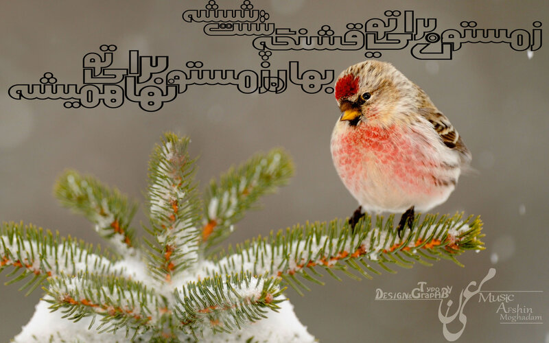 Redpoll Bird on Branch — Green