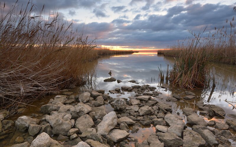 Reeds and Rocks at Sunset