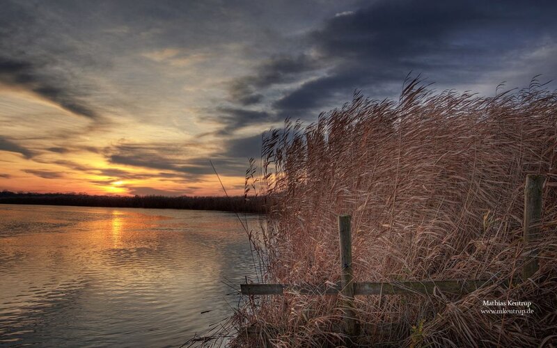 Reeds at Sunset — Orange, Dramatic, Photograph, River