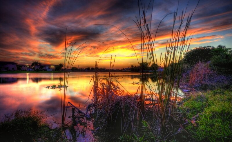Reeds at Sunset — Orange, Dramatic