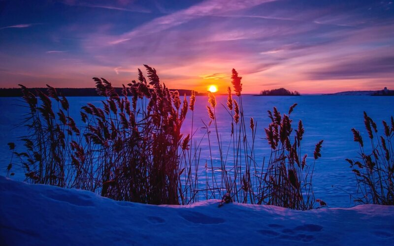 Reeds on Frozen Lake — Blue