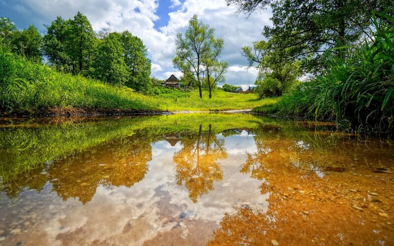 Reflection in a Pond