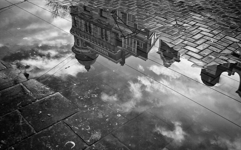 Reflection in a puddle