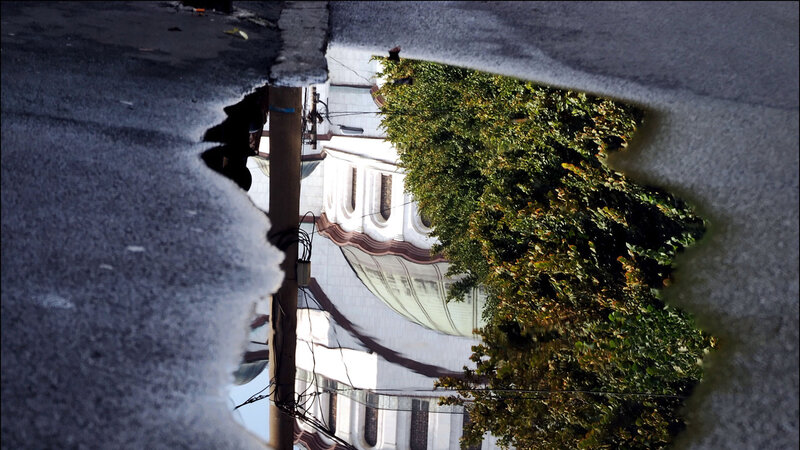 Reflection in a Puddle — Green