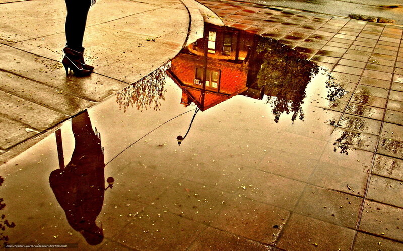 reflection in a puddle on the sidewalk