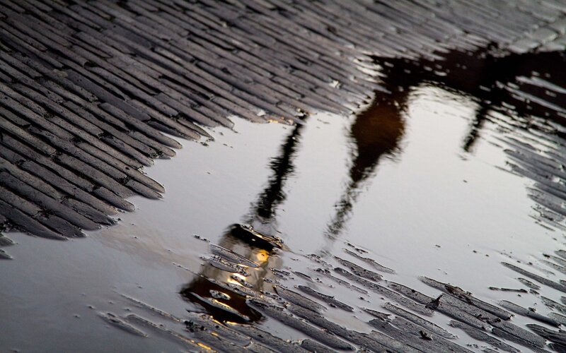 Reflection in a puddle