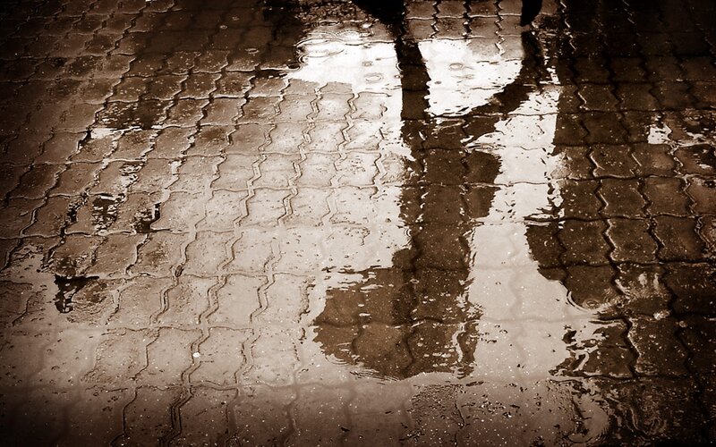 reflection in a rain puddle