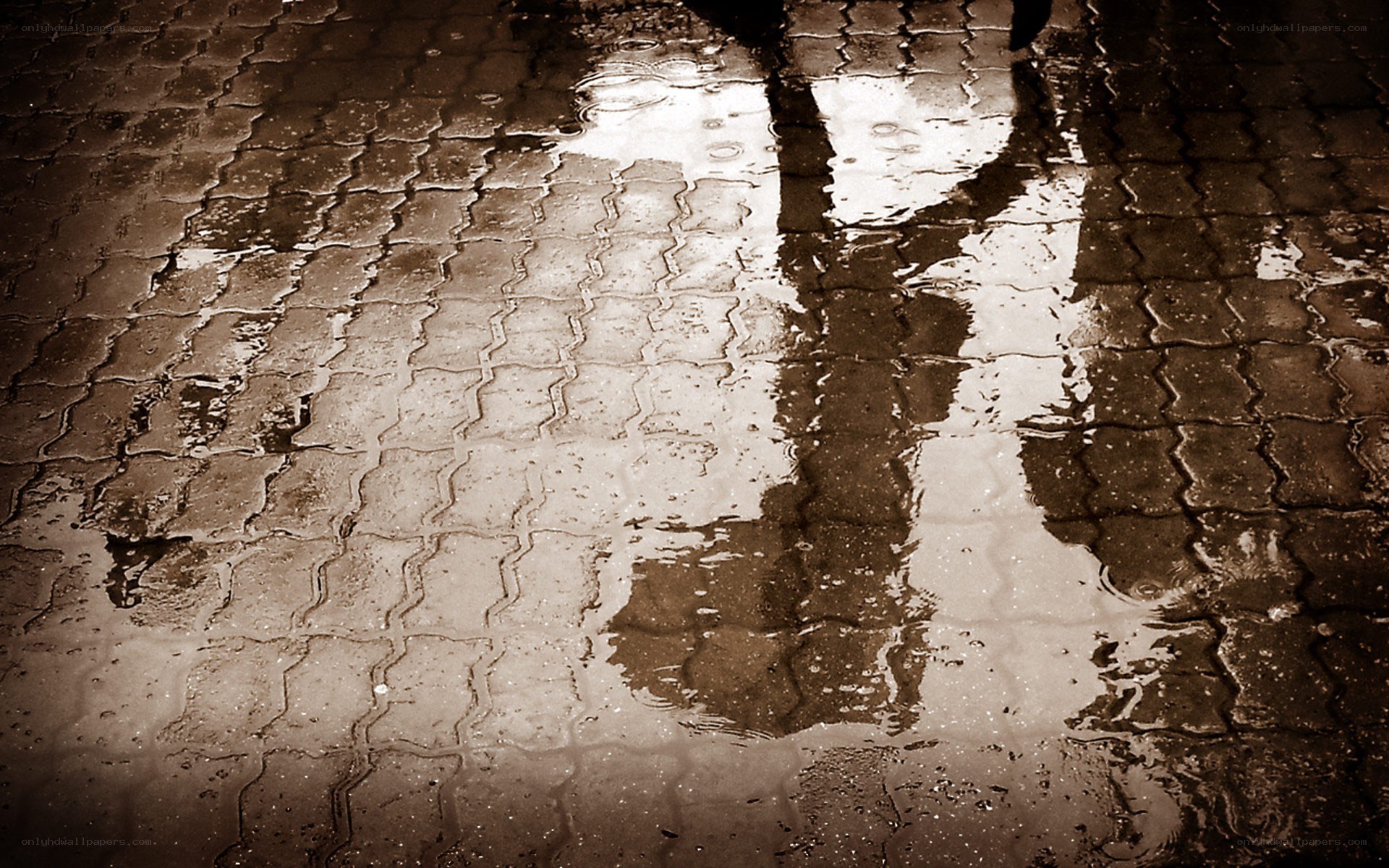 reflection in a rain puddle