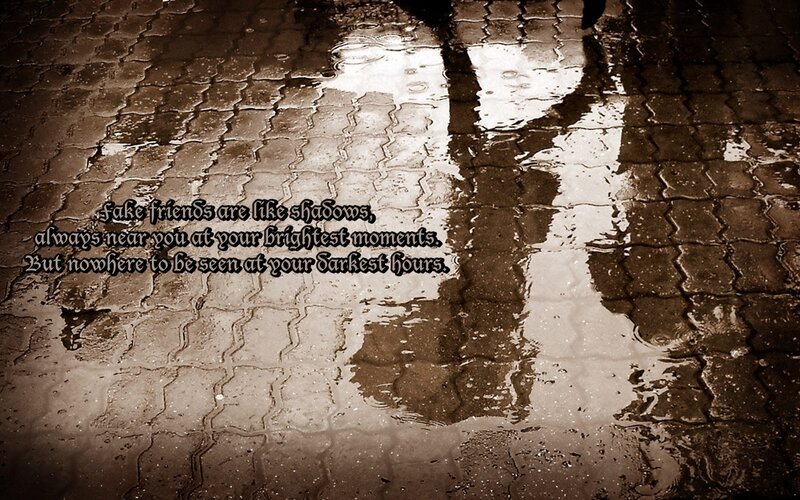 Reflection in Puddle