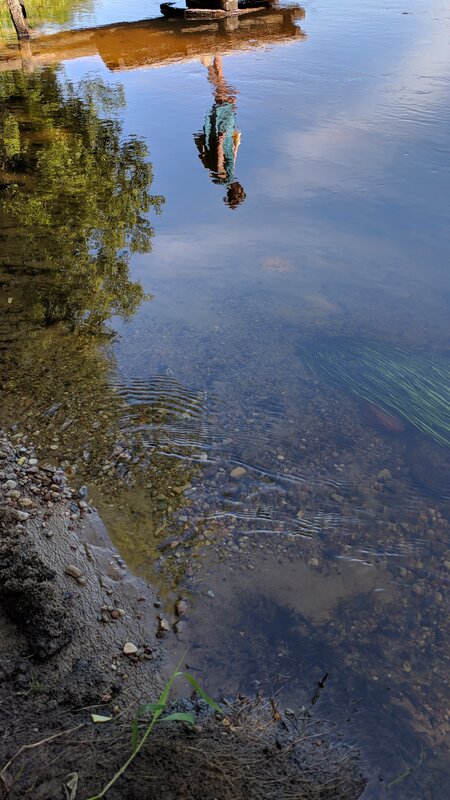 Reflection in Shallow Water