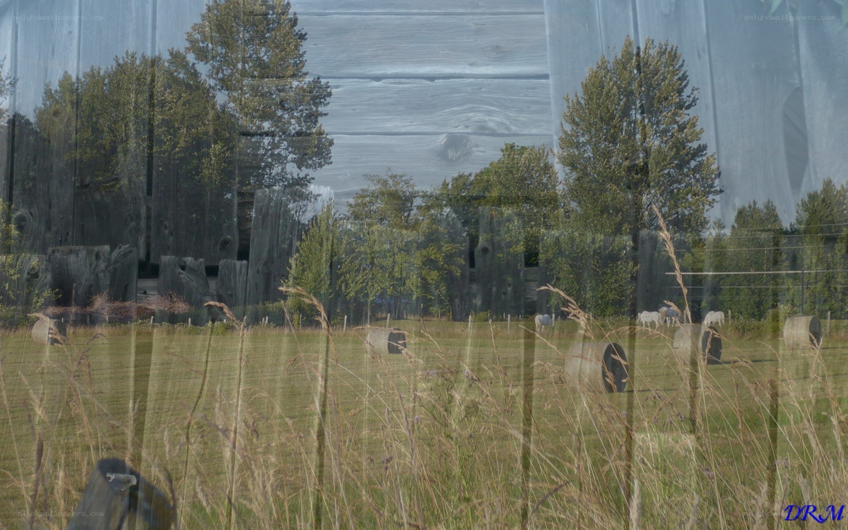 Reflection of a rural landscape
