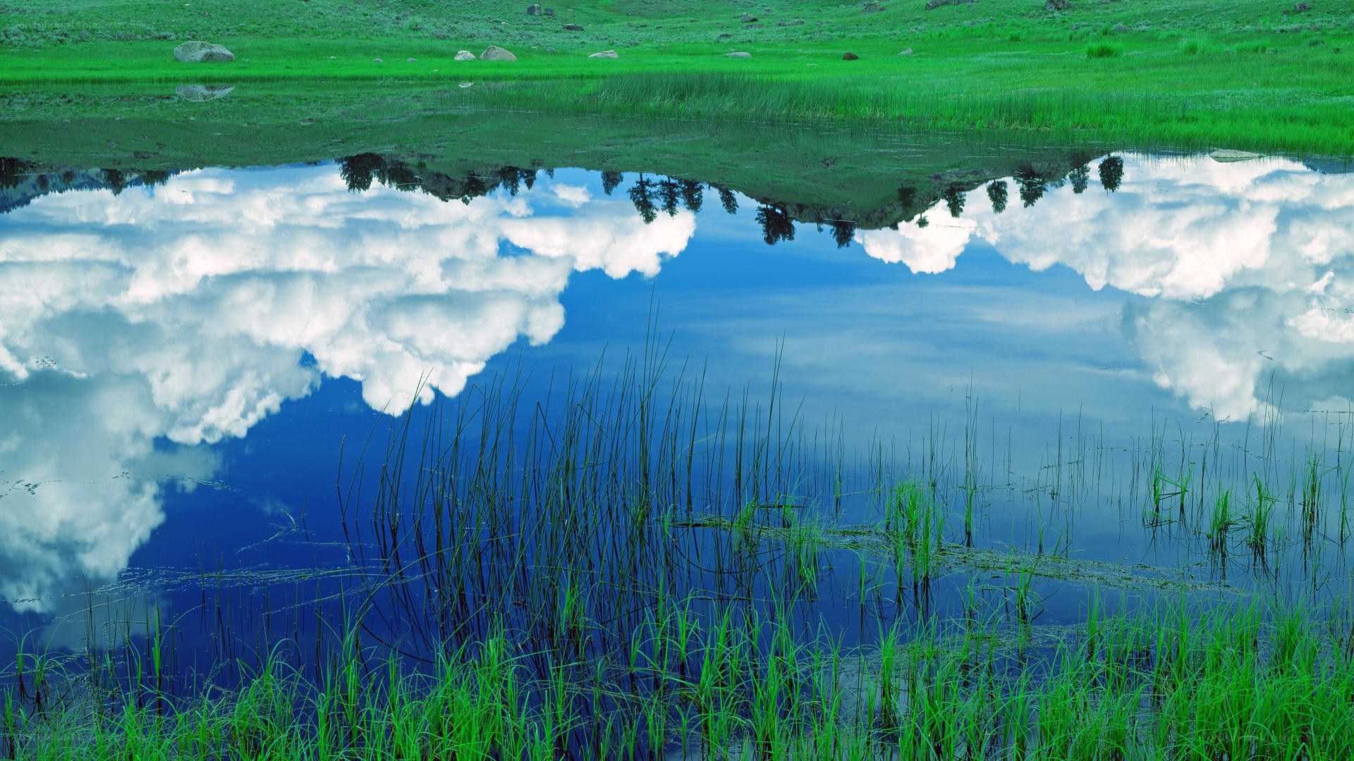 Reflection of clouds in a pond