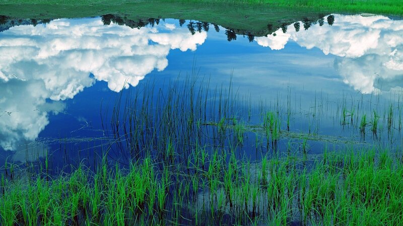 Reflection of Clouds in Water