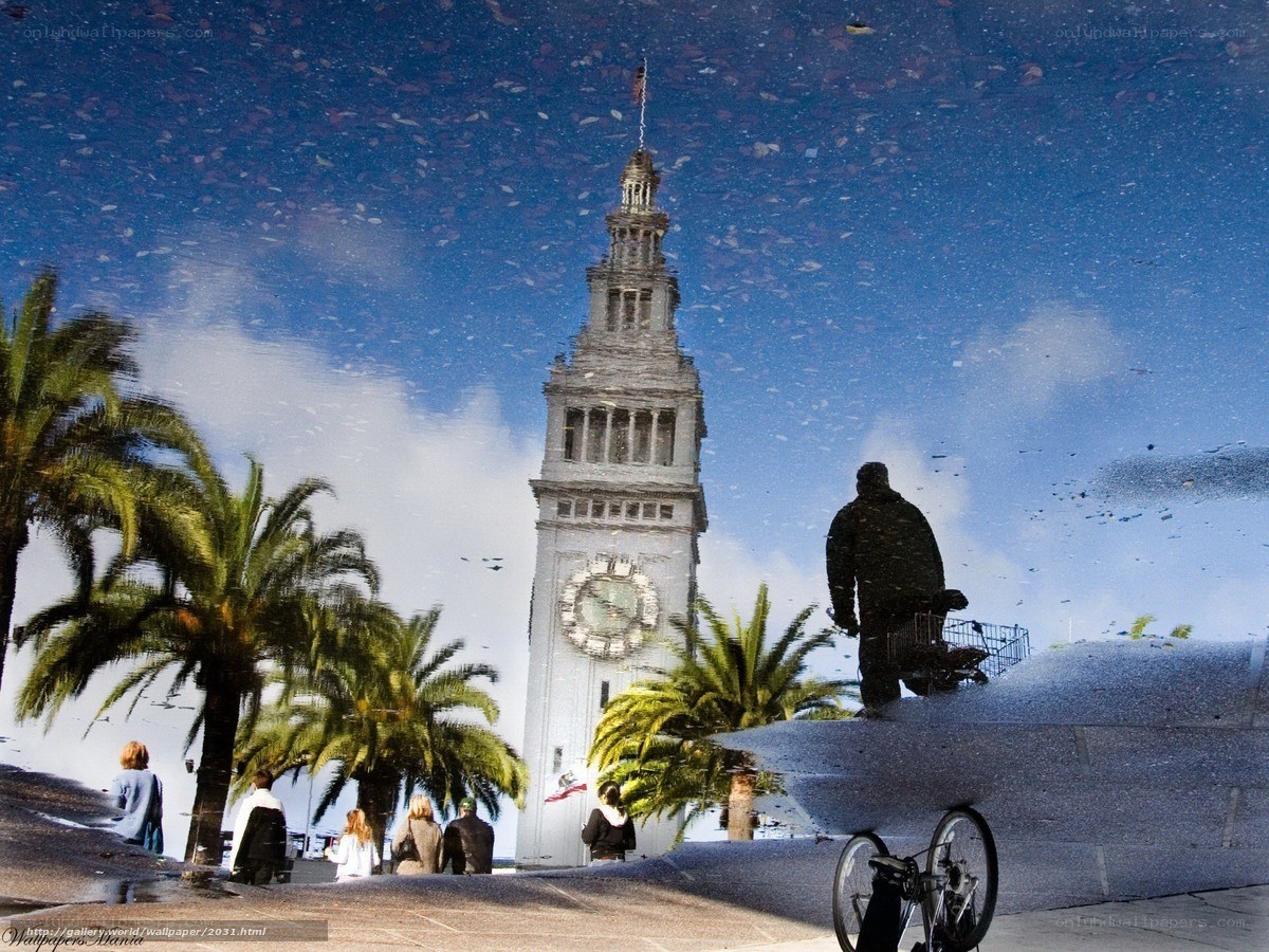 Reflection of Coit Tower in a puddle