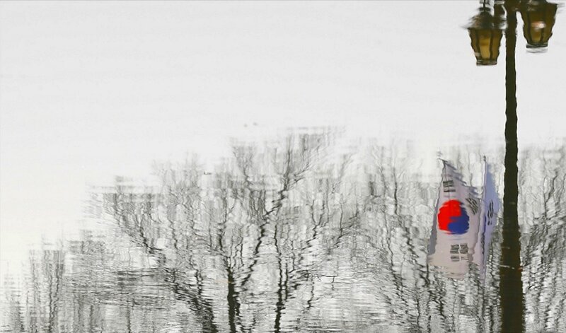 Reflection of Flag and Trees
