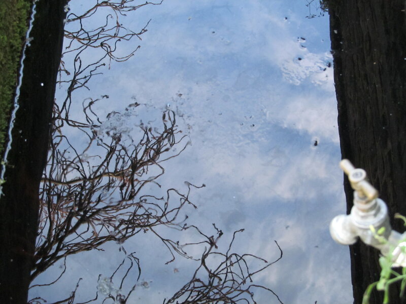 Reflection of Sky in Water — Blue