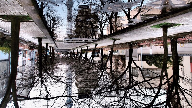 Reflection of Tokyo Tower in a puddle