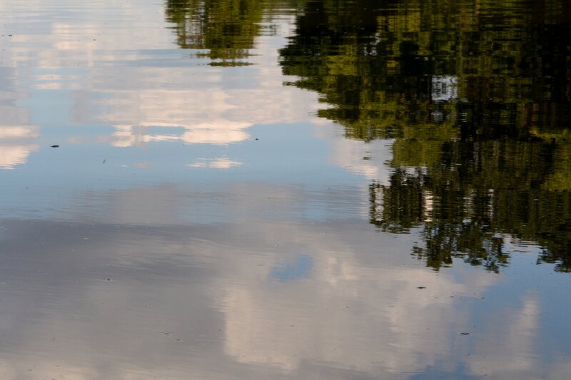 Reflection of Trees and Clouds