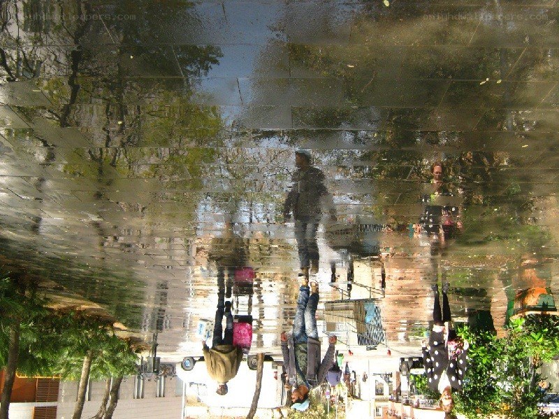 Reflections in a puddle