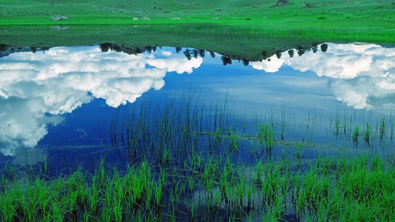 Reflective lake in a green meadow