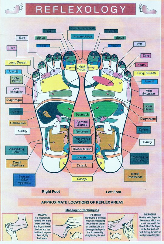 Reflexology foot chart