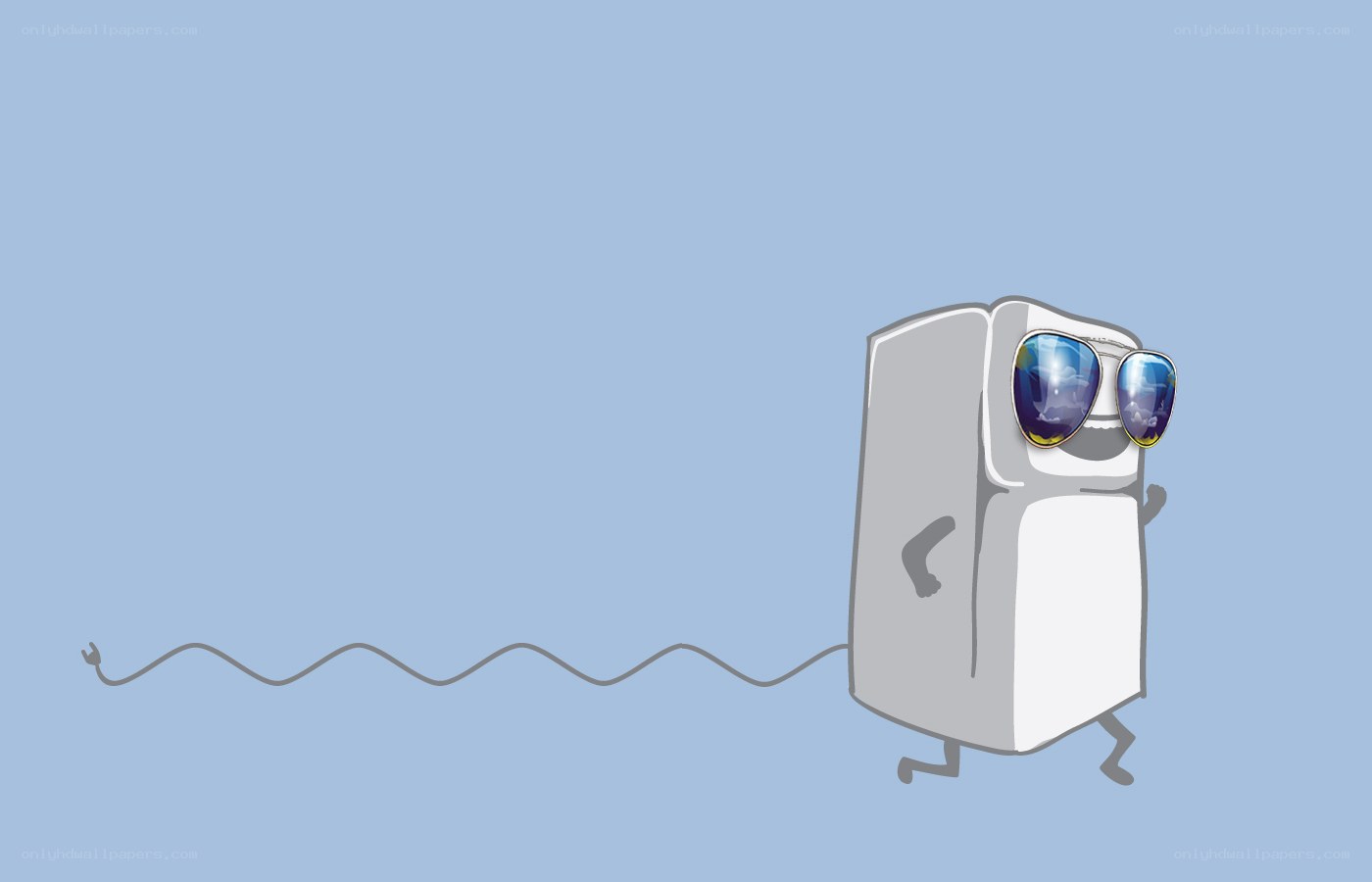 refrigerator with sunglasses