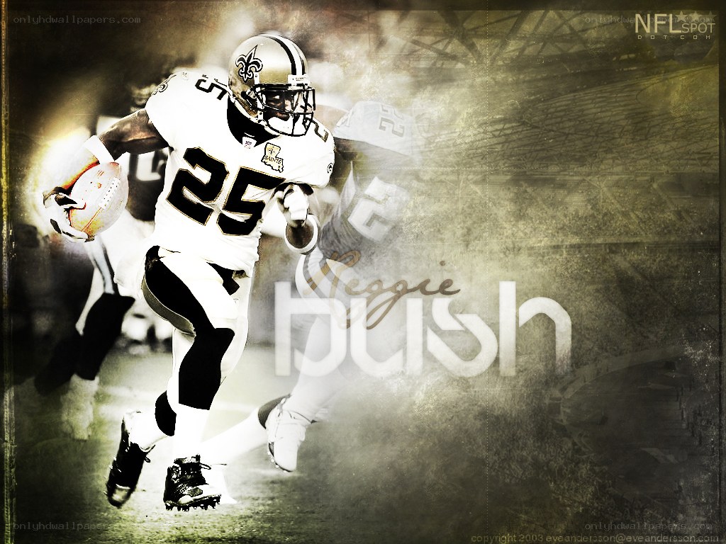 Reggie Bush in action