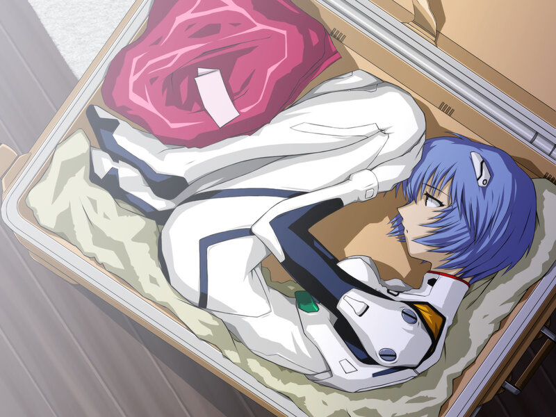 Rei Ayanami in a suitcase