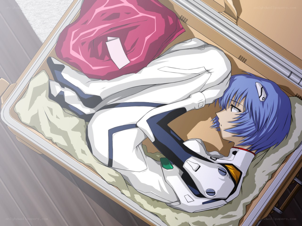 Rei lying in a suitcase