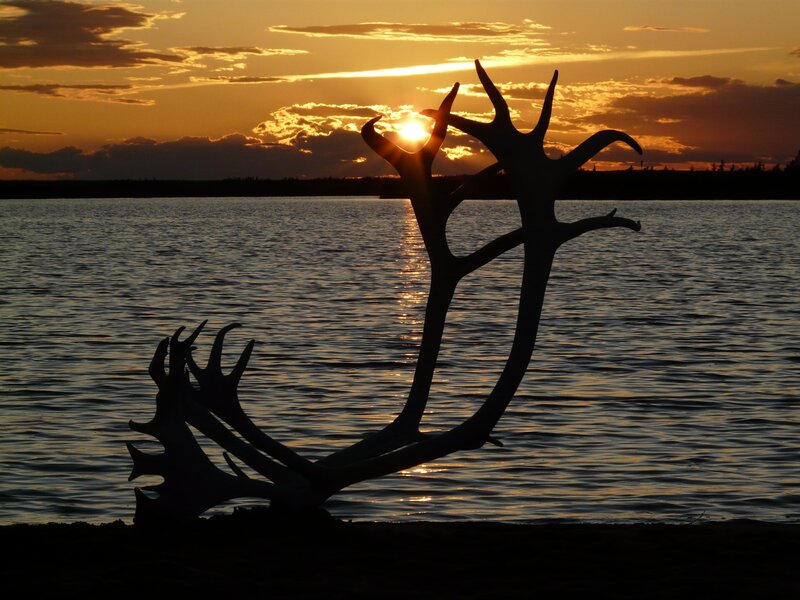 Reindeer Antlers Silhouette