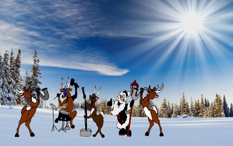 Reindeer Band in Snow
