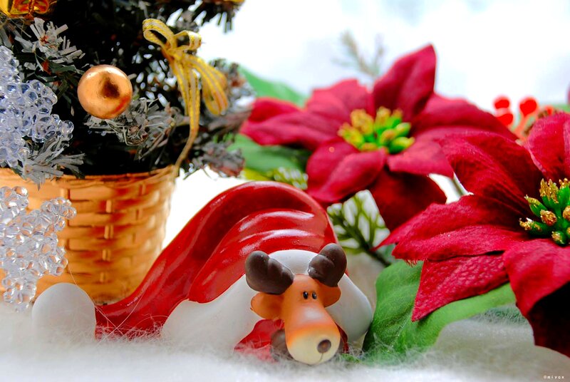 Reindeer Figurine with Poinsettia