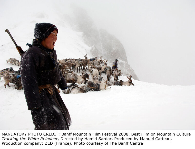 Reindeer herder in snowstorm