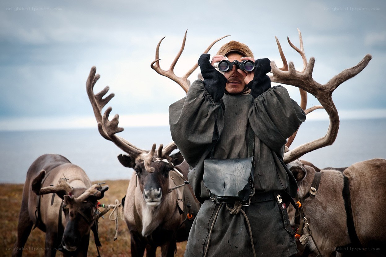 Reindeer herder with binoculars