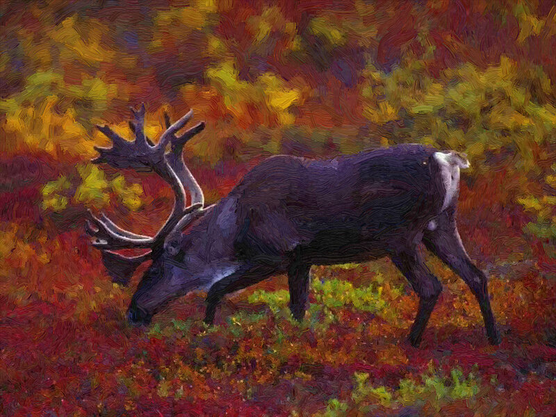 Reindeer in Autumn — Red