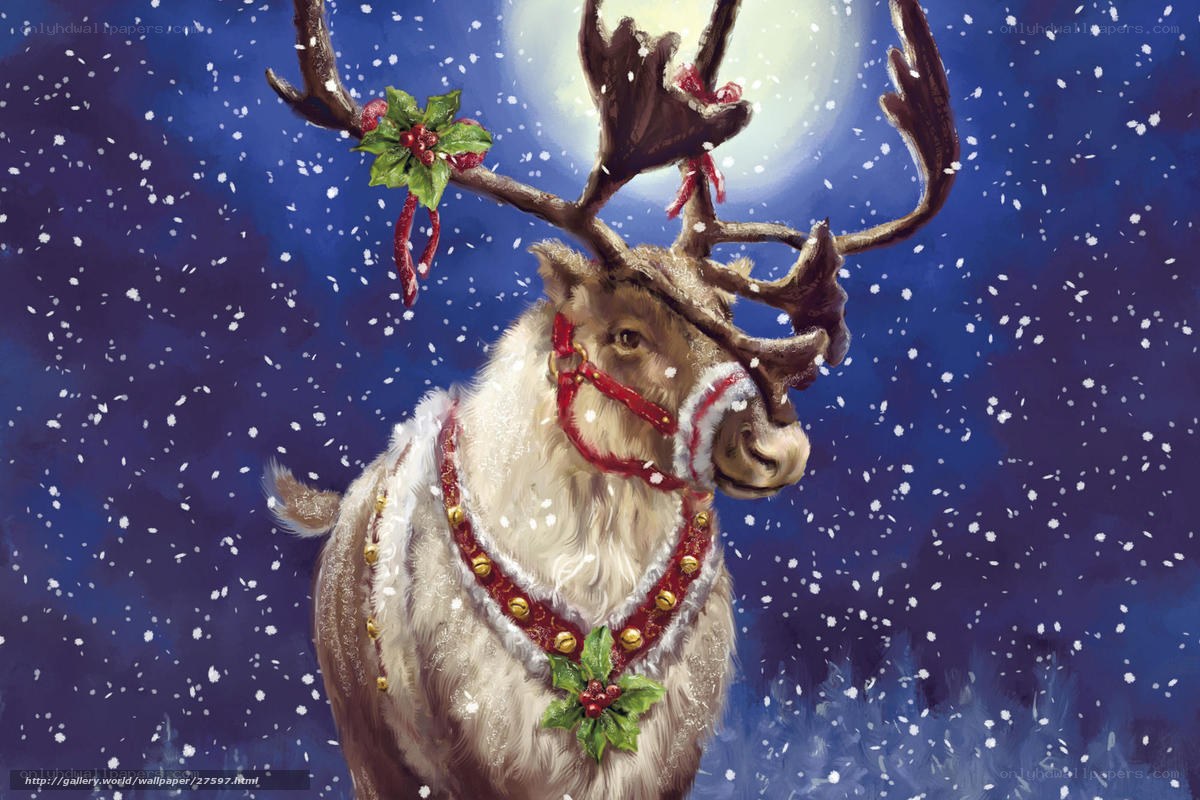 Reindeer in Christmas Snow